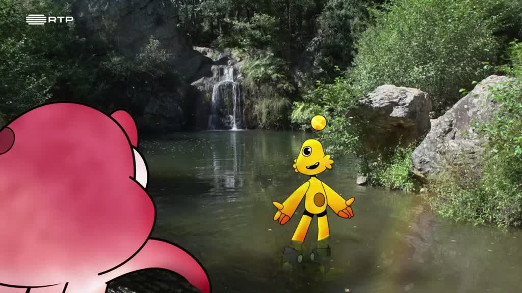 Imagem de Pés na Terra - Fotossintese