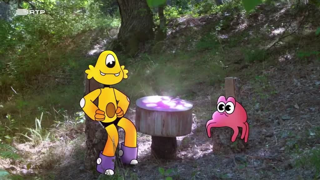 Imagem de Pés na Terra - Anéis de Crescimento