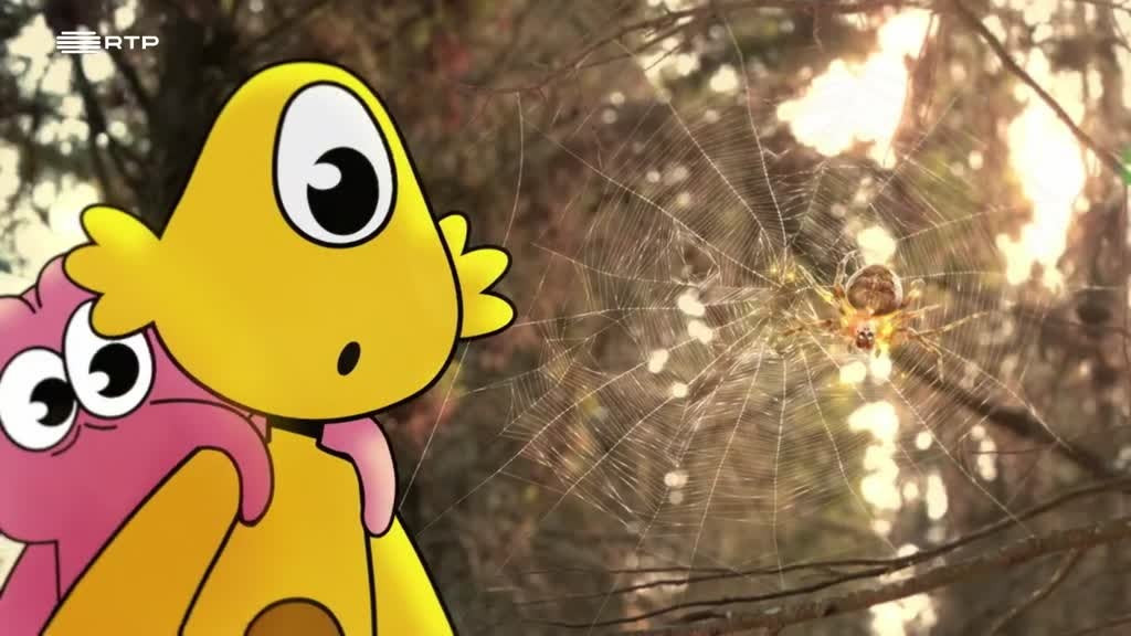 Imagem de Pés na Terra - Biomimetica