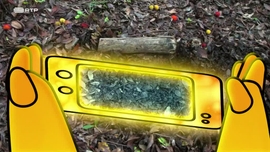 Imagem de Decompositores