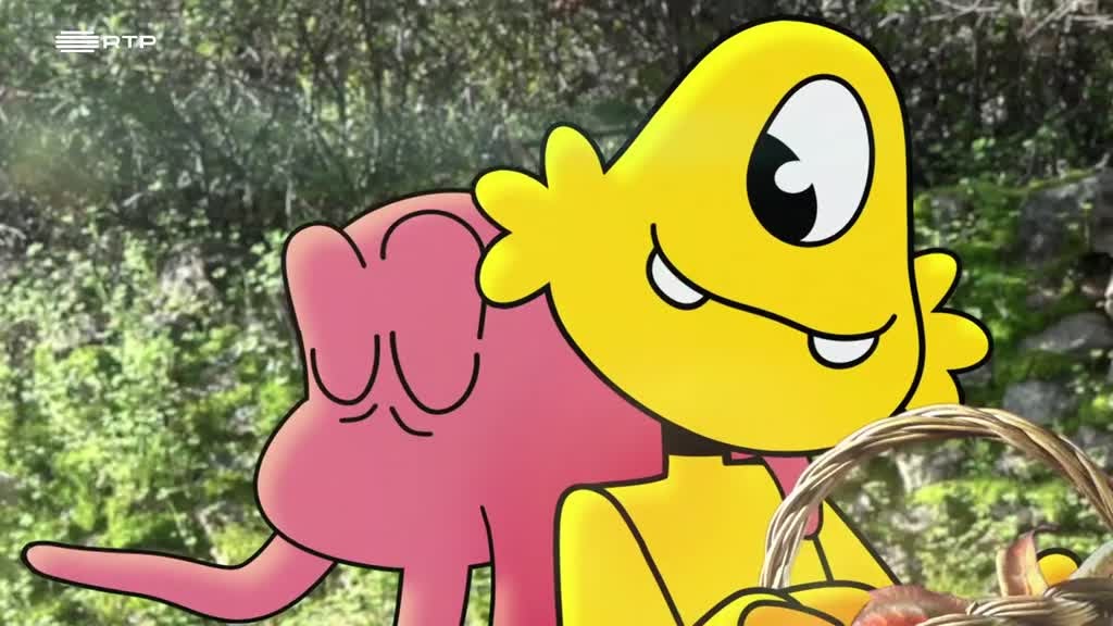 Imagem de Pés na Terra - Mercado da Floresta