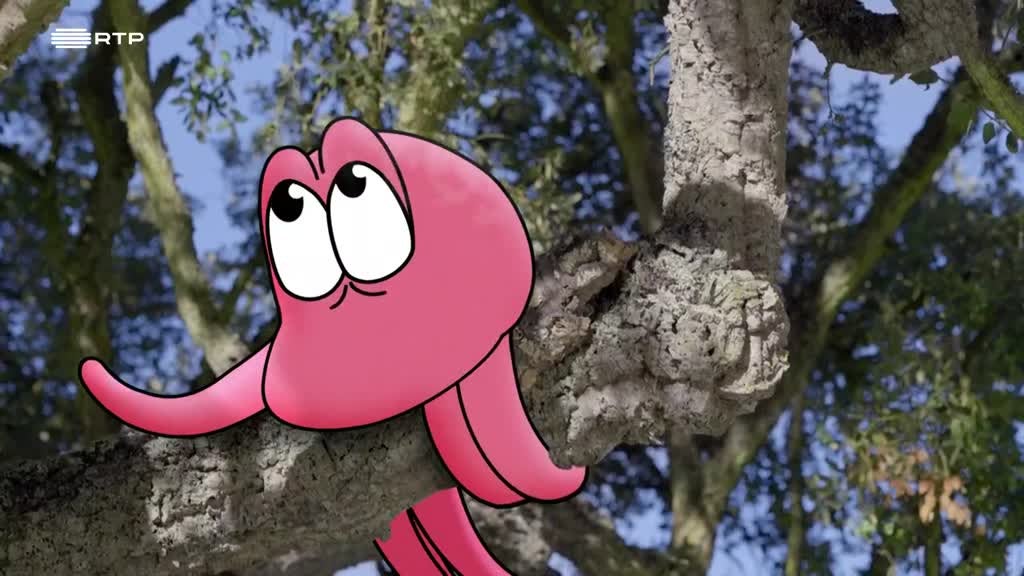 Imagem de Pés na Terra - A Cortiça