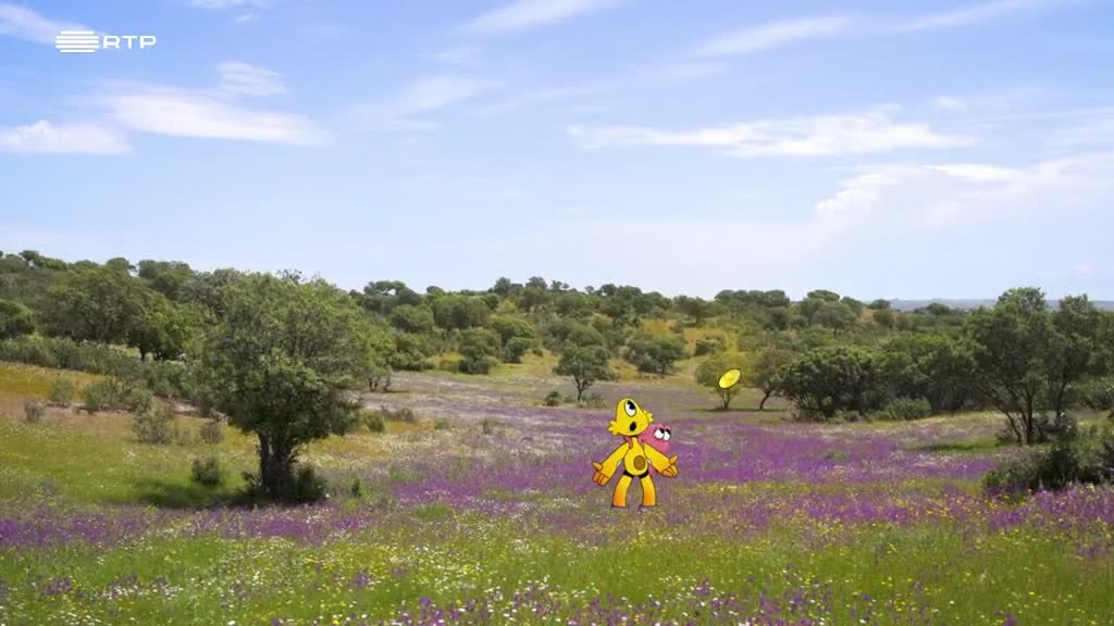 Imagem de Pés na Terra - Aromas da Floresta