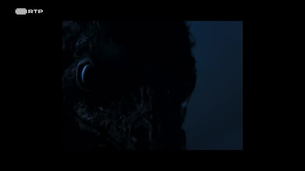 Imagem de Janela Indiscreta