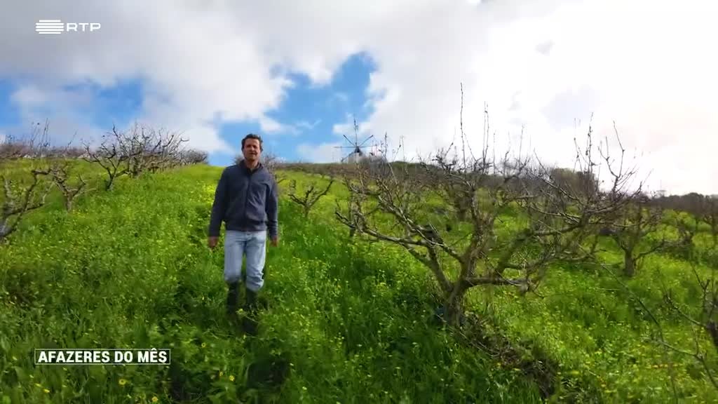 Imagem de Afazeres do Mês