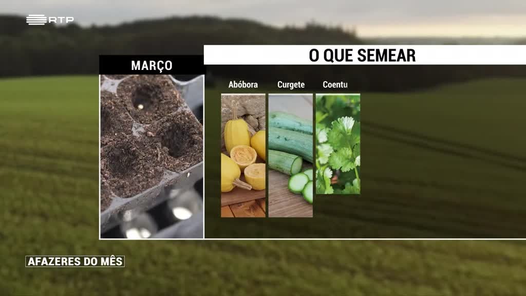 Imagem de Afazeres do Mês