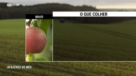 Imagem de Afazeres do M�s