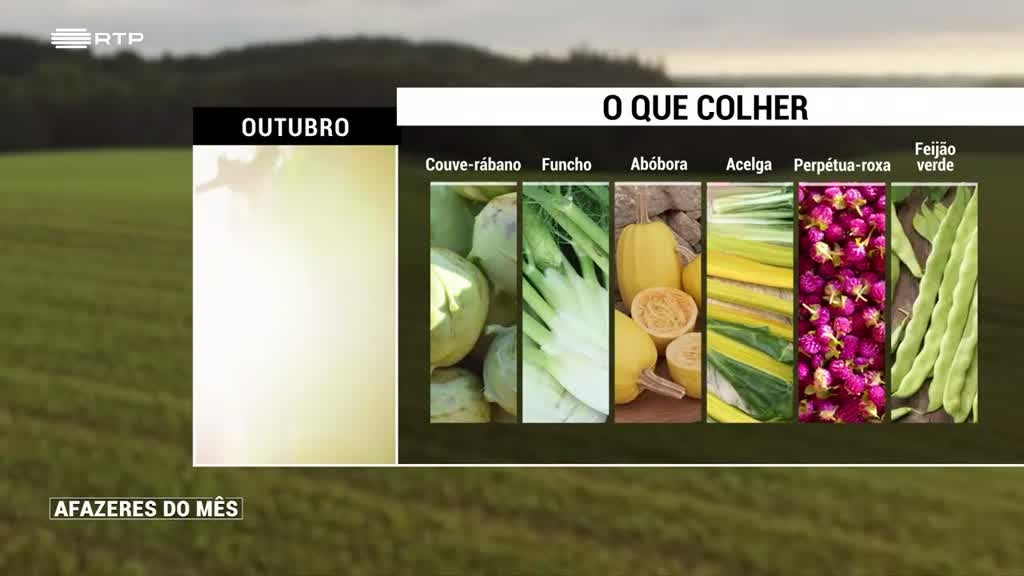 Imagem de Afazeres do Mês