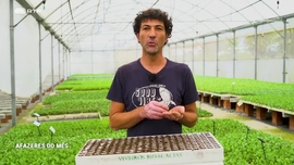 Imagem de Afazeres do M�s