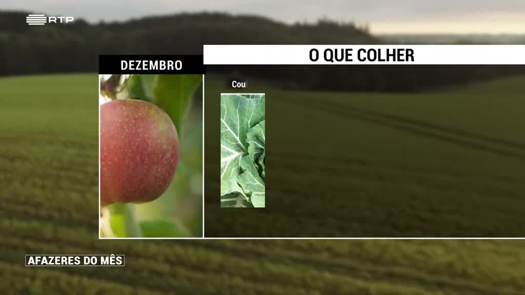 Imagem de Afazeres do Mês