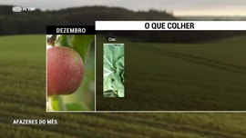 Imagem de Afazeres do M�s