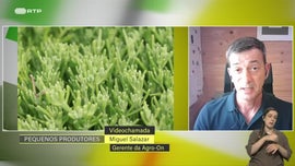 Imagem de Pequenos Produtores