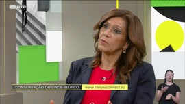 Imagem de Conservao do Lince-Ibrico