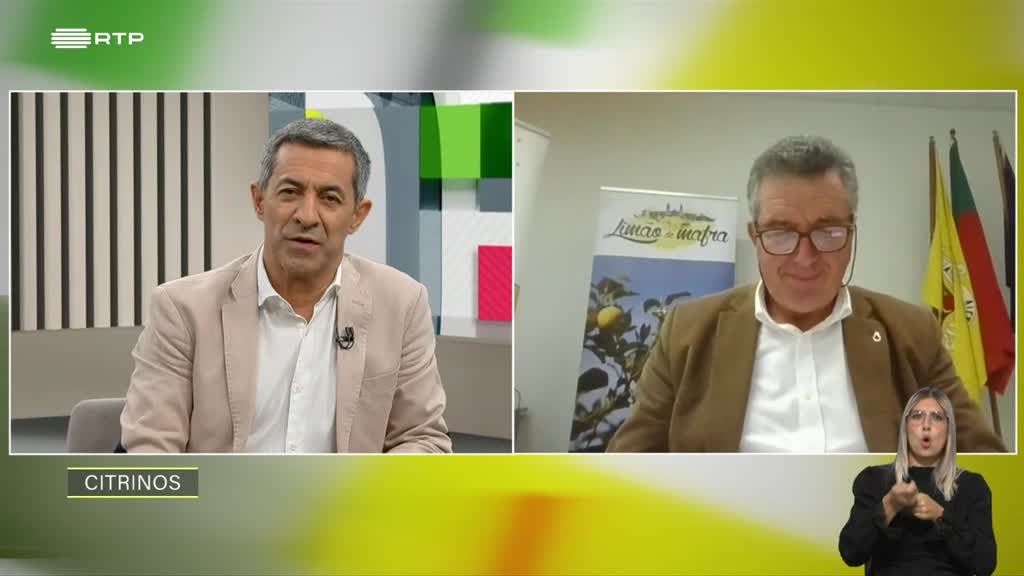 Imagem de Sociedade Civil - Citrinos