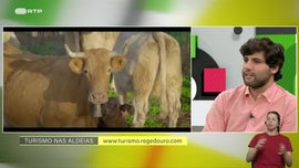 Imagem de Turismo nas Aldeias