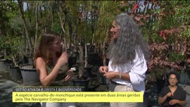 Imagem de Gesto Ativa da Floresta e Biodiversidade