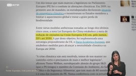Imagem de Os Tons do Greenwashing