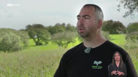 Imagem de Agricultura Regenerativa