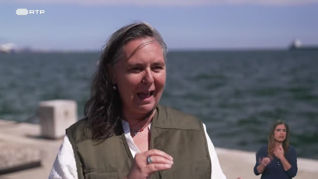 Imagem de Biosfera - Cetáceos em Portugal