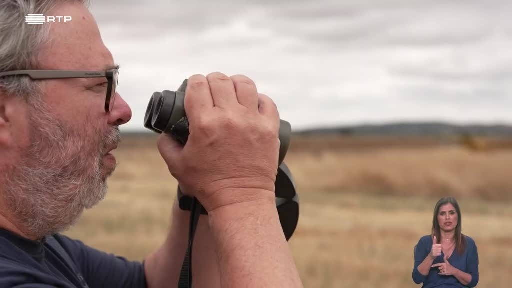 Imagem de Biosfera - Impactos da Simplificação Trófica