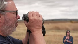 Imagem de Impactos da Simplificao Trfica