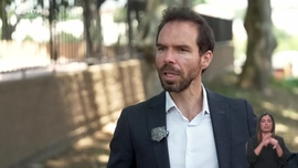 Imagem de Arvoredo Urbano