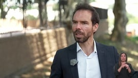 Imagem de Arvoredo Urbano