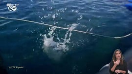 Imagem de Aquicultura  Prova