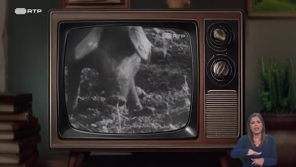 Imagem de Biosfera - Redescobrir a Bolota