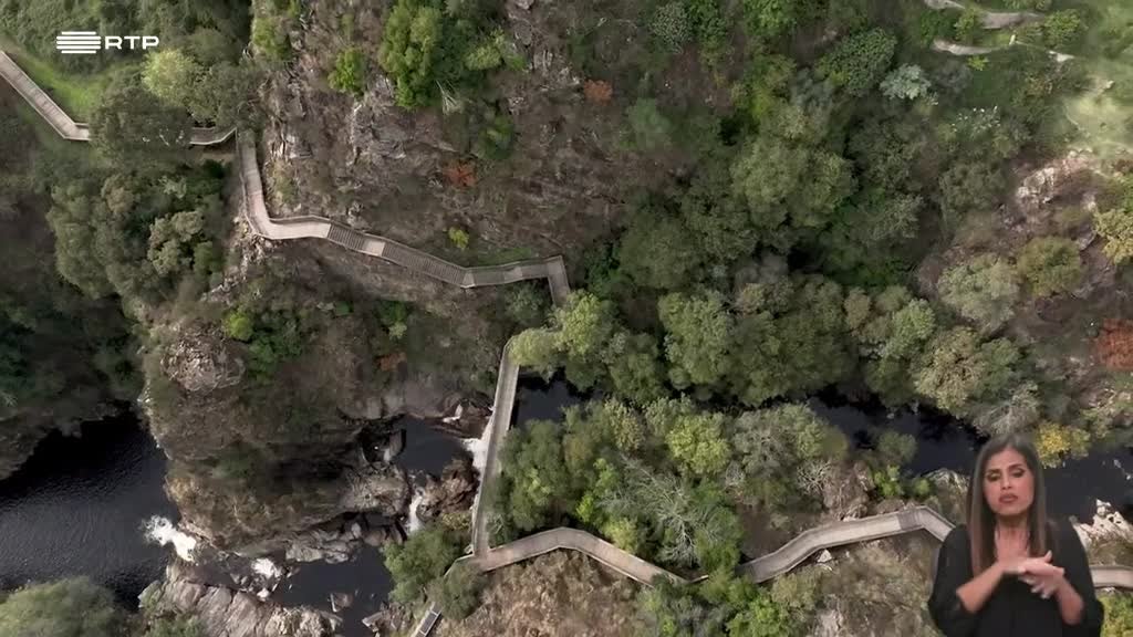 Imagem de Biosfera - O Valor da Floresta