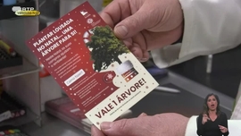 Imagem de Guia para um Natal Sustent�vel