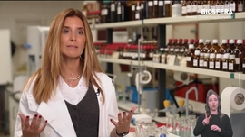 Imagem de 2026: Aspira��es Globais