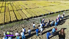 Imagem de Faa Chuva Faa Sol