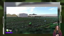 Imagem de Faa Chuva Faa Sol