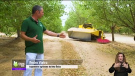 Imagem de Faa Chuva Faa Sol