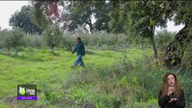 Imagem de Faa Chuva Faa Sol