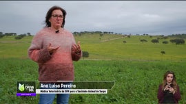 Imagem de Faça Chuva Faça Sol