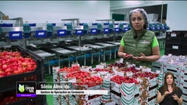 Imagem de Faa Chuva Faa Sol