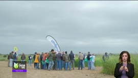 Imagem de Faa Chuva Faa Sol