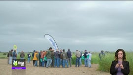 Imagem de Faa Chuva Faa Sol