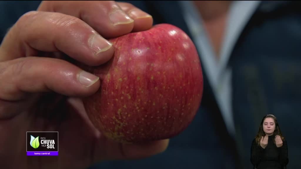 Imagem de Faça Chuva Faça Sol