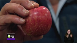 Imagem de Faa Chuva Faa Sol