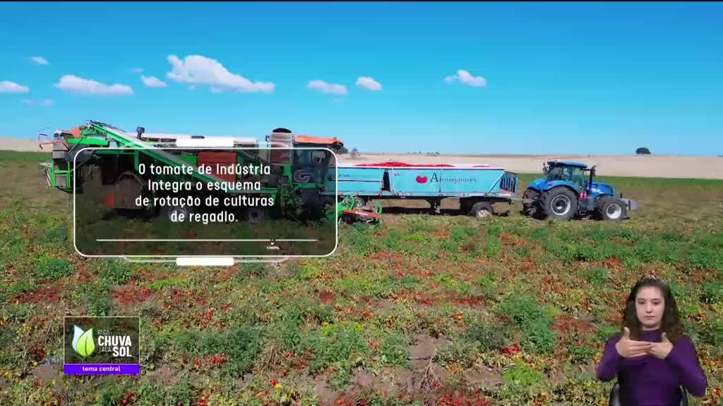 Imagem de Faça Chuva Faça Sol