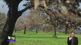 Imagem de Fa�a Chuva Fa�a Sol