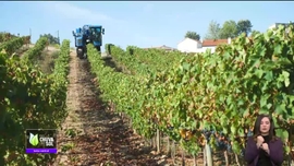 Imagem de Fa�a Chuva Fa�a Sol