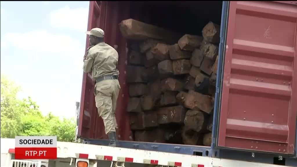 Imagem de Repórter África - 2ª Edição