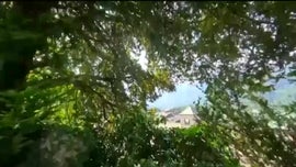 Imagem de Homenagem  Herana e Cultura Africanas ...