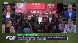 Imagem de Grande rea