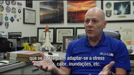 Imagem de �frica Global