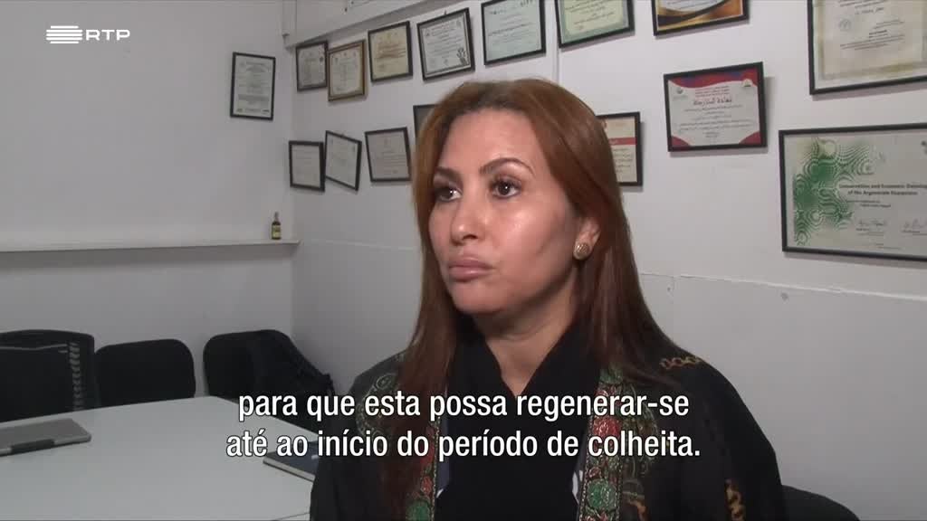 Imagem de África Global